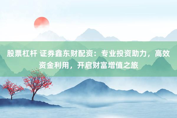 股票杠杆 证券鑫东财配资：专业投资助力，高效资金利用，开启财富增值之旅