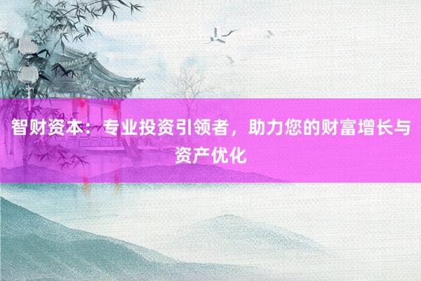 智财资本：专业投资引领者，助力您的财富增长与资产优化