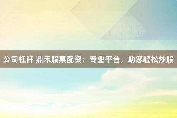 公司杠杆 鼎禾股票配资：专业平台，助您轻松炒股