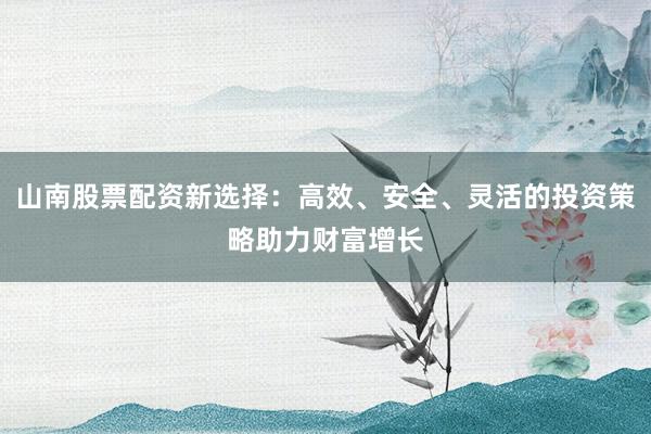 山南股票配资新选择：高效、安全、灵活的投资策略助力财富增长