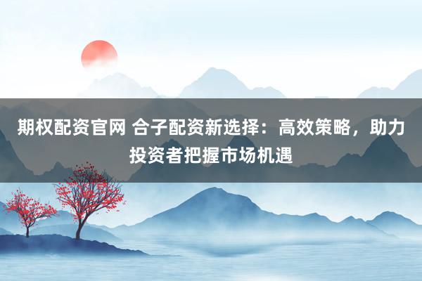 期权配资官网 合子配资新选择：高效策略，助力投资者把握市场机遇