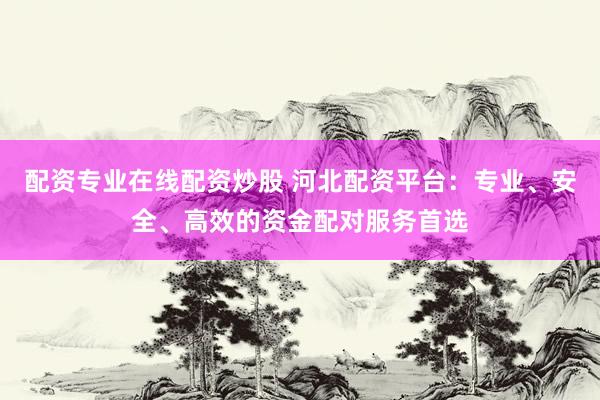 配资专业在线配资炒股 河北配资平台：专业、安全、高效的资金配对服务首选