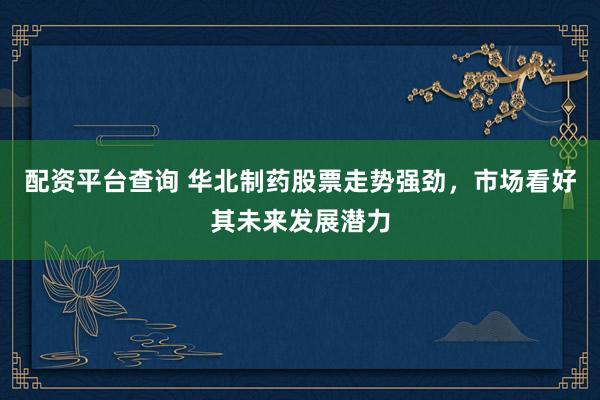配资平台查询 华北制药股票走势强劲，市场看好其未来发展潜力