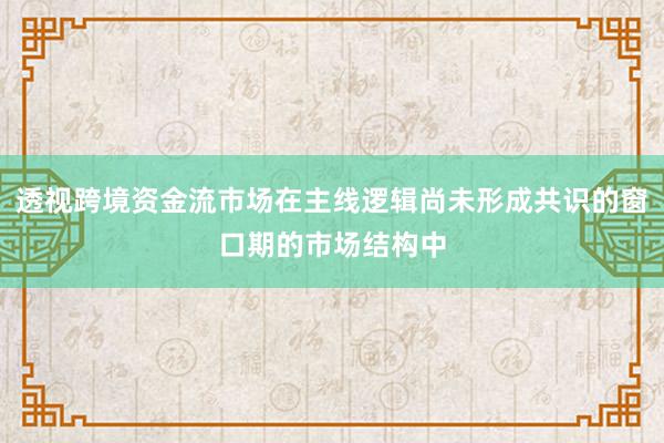 透视跨境资金流市场在主线逻辑尚未形成共识的窗口期的市场结构中