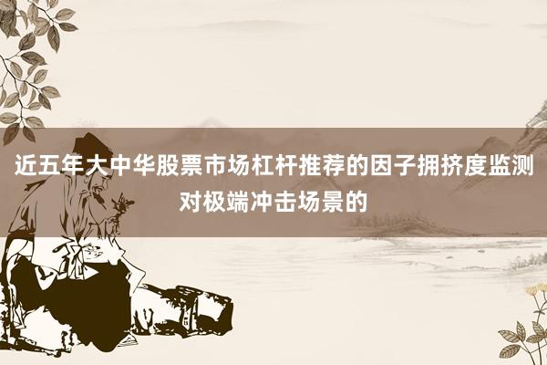 近五年大中华股票市场杠杆推荐的因子拥挤度监测对极端冲击场景的