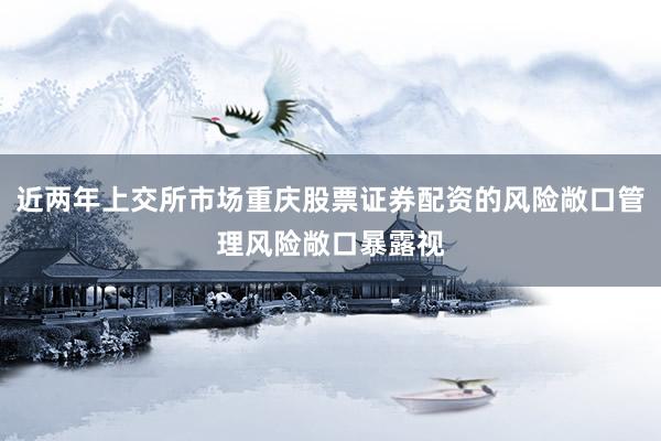 近两年上交所市场重庆股票证券配资的风险敞口管理风险敞口暴露视