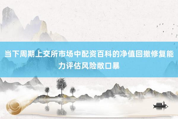 当下周期上交所市场中配资百科的净值回撤修复能力评估风险敞口暴