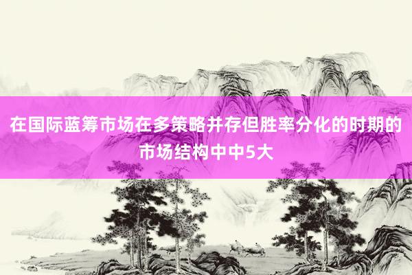 在国际蓝筹市场在多策略并存但胜率分化的时期的市场结构中中5大